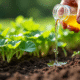 Main versant un herbicide naturel sur des mauvaises herbes dans un jardin